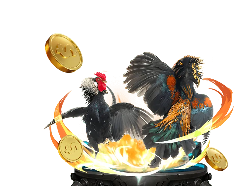 Chương trình VIP Usbet đá gà