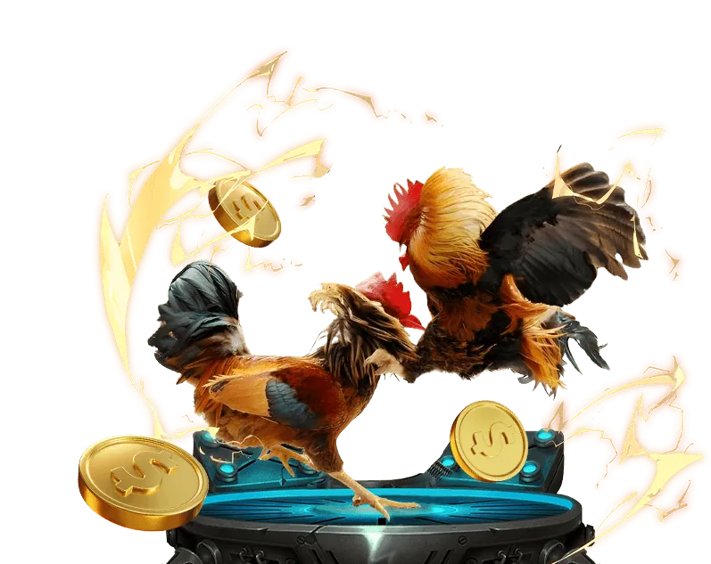 Khuyến mãi nạp lại hàng tuần Usbet đá gà