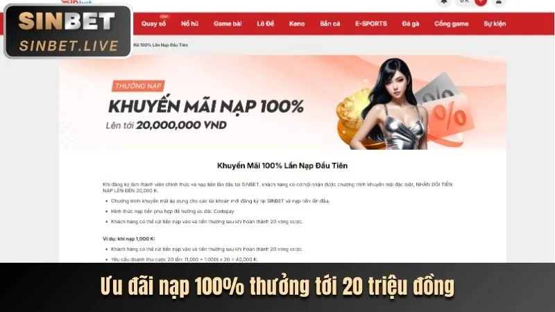 Cấp độ VIP Bạc Usbet